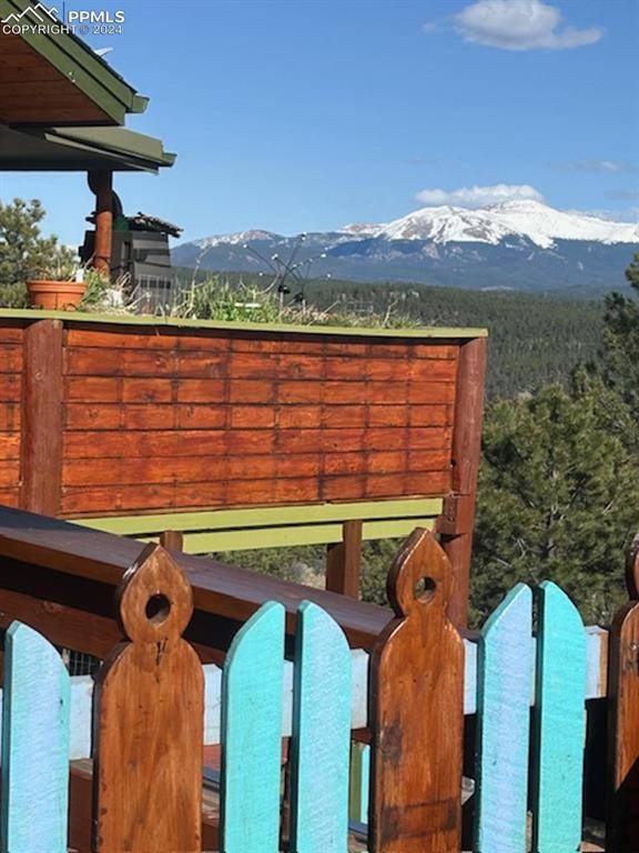 Florissant, CO 80816,361 Crystal Peak RD