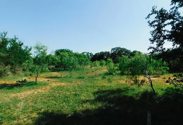 Brownwood, TX 76801,Lot 11 Morris Sheppard Drive