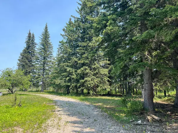 Rural Clearwater County, AB T0M 0M0,62014 Township Road 37-0A