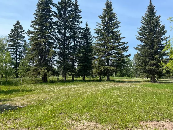 Rural Clearwater County, AB T0M 0M0,62014 Township Road 37-0A