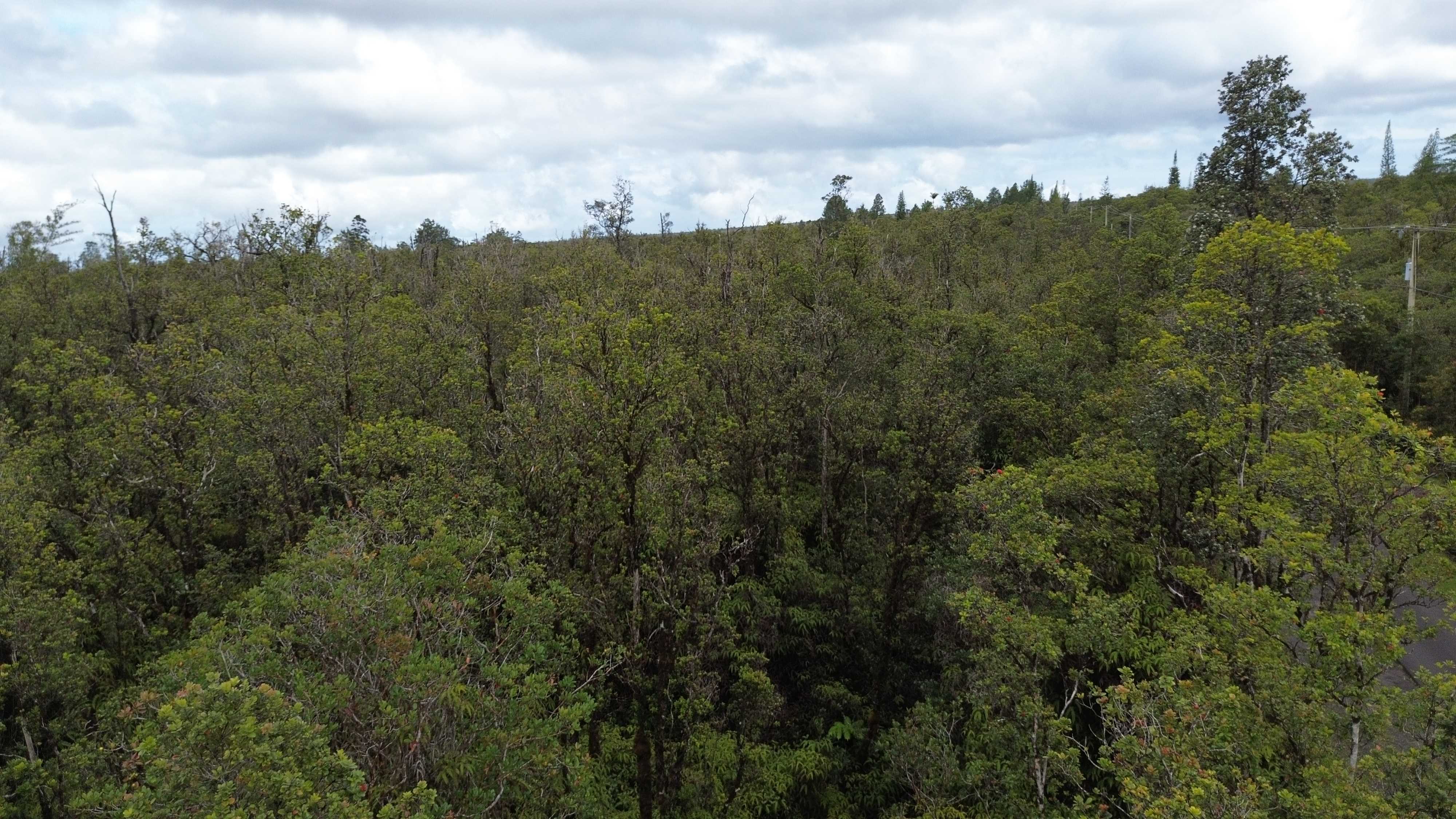 Volcano, HI 96785,OHIA AVE