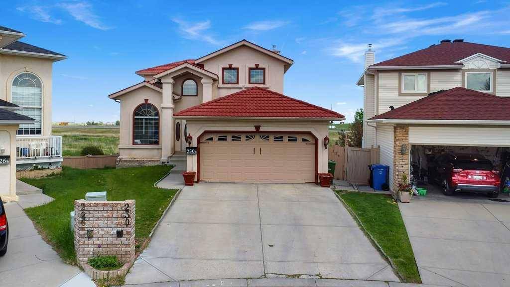 230 Coral Springs PL NE, Calgary, AB T3J3M6