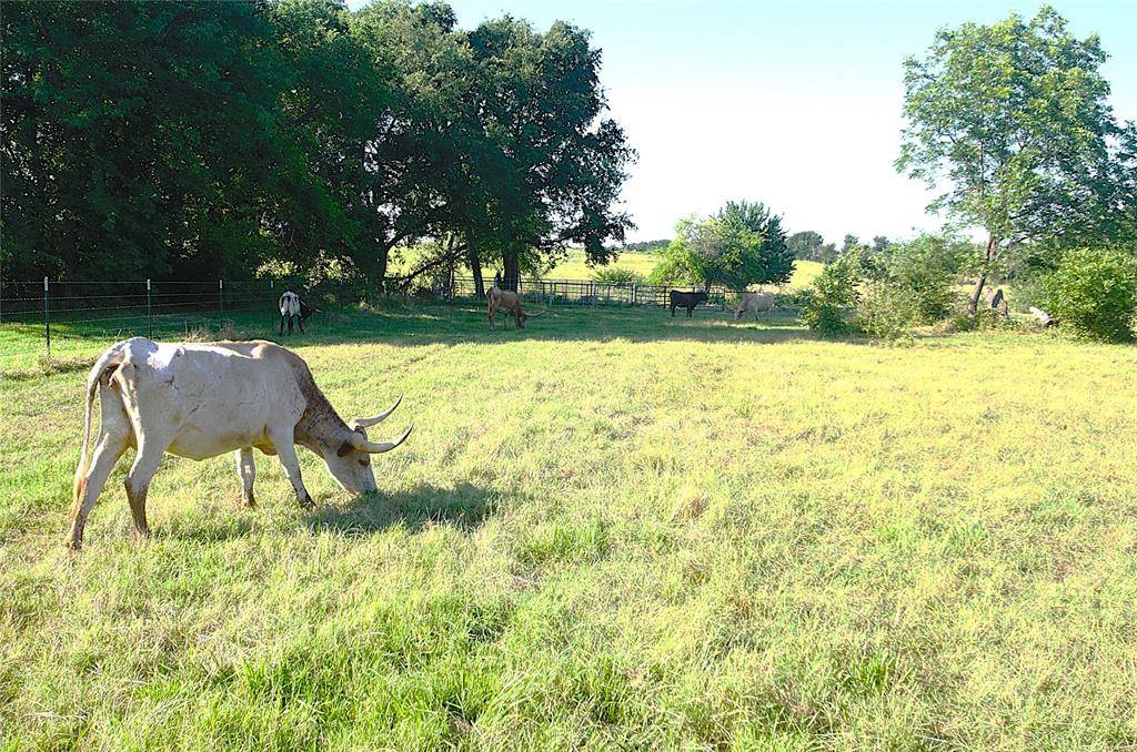 Pottsboro, TX 75076,316 FLOWING WELLS