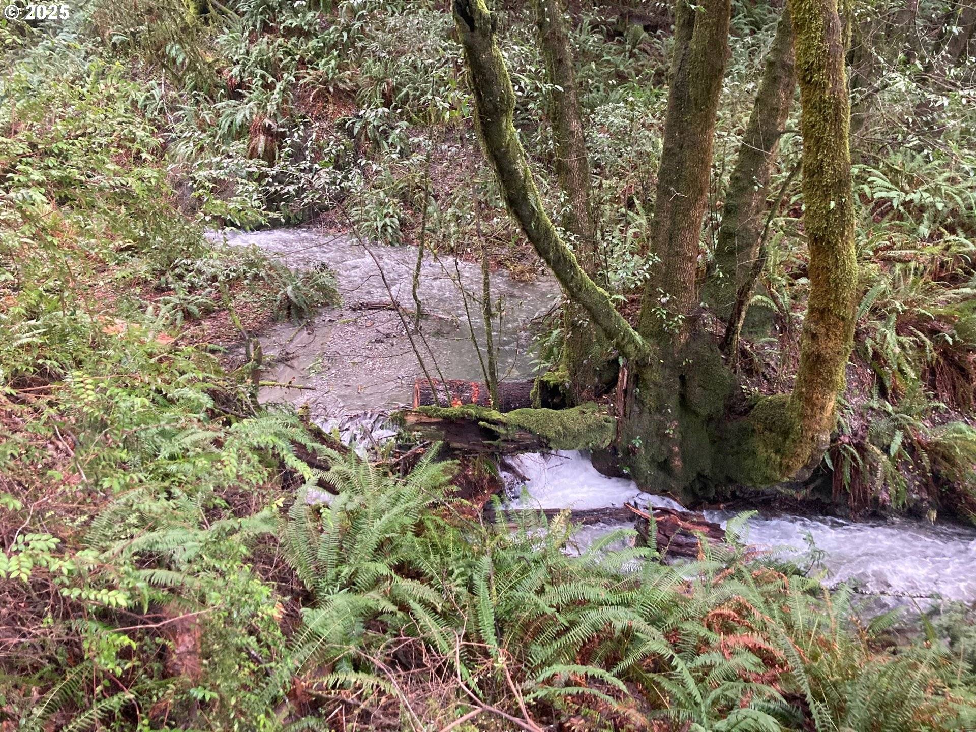 Gold Beach, OR 97444,North Bank RD #201