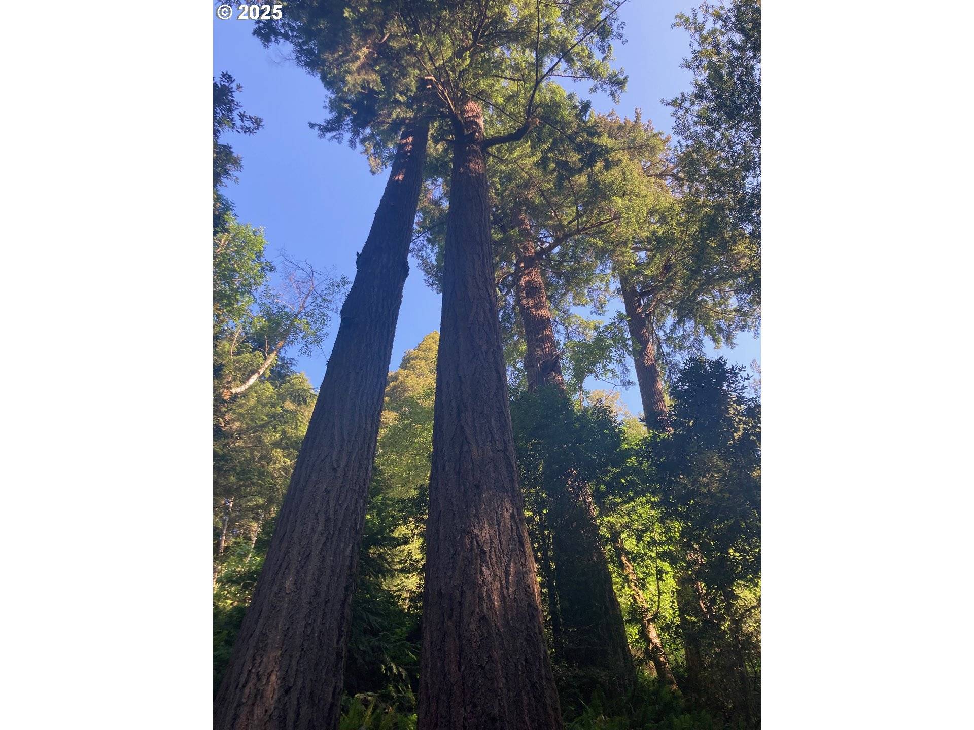 Gold Beach, OR 97444,North Bank RD #201