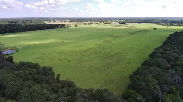 Gholson, TX 76705,295 Rozell Pass