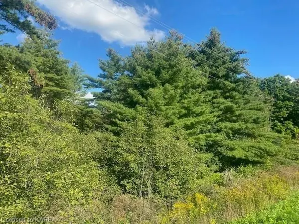 Rideau Lakes, ON K0G 1E0,000 County Rd 11, Jones Falls RD