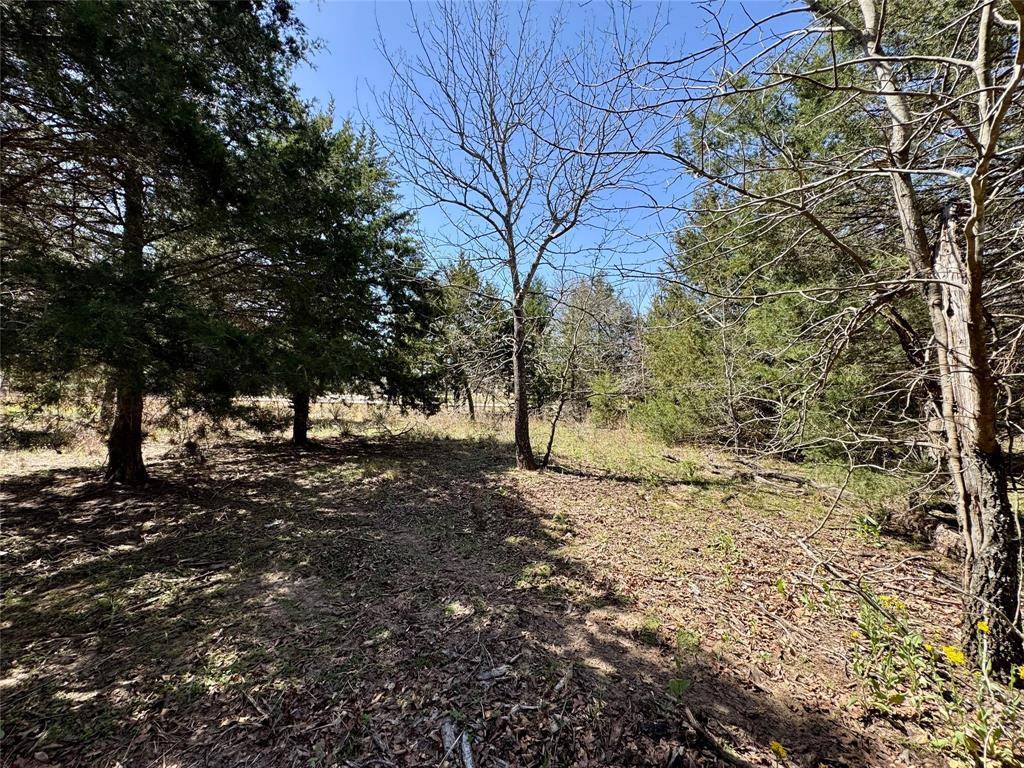 Athens, TX 75752,172 Charlya Drive