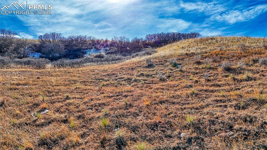 Colorado Springs, CO 80907,Michener DR