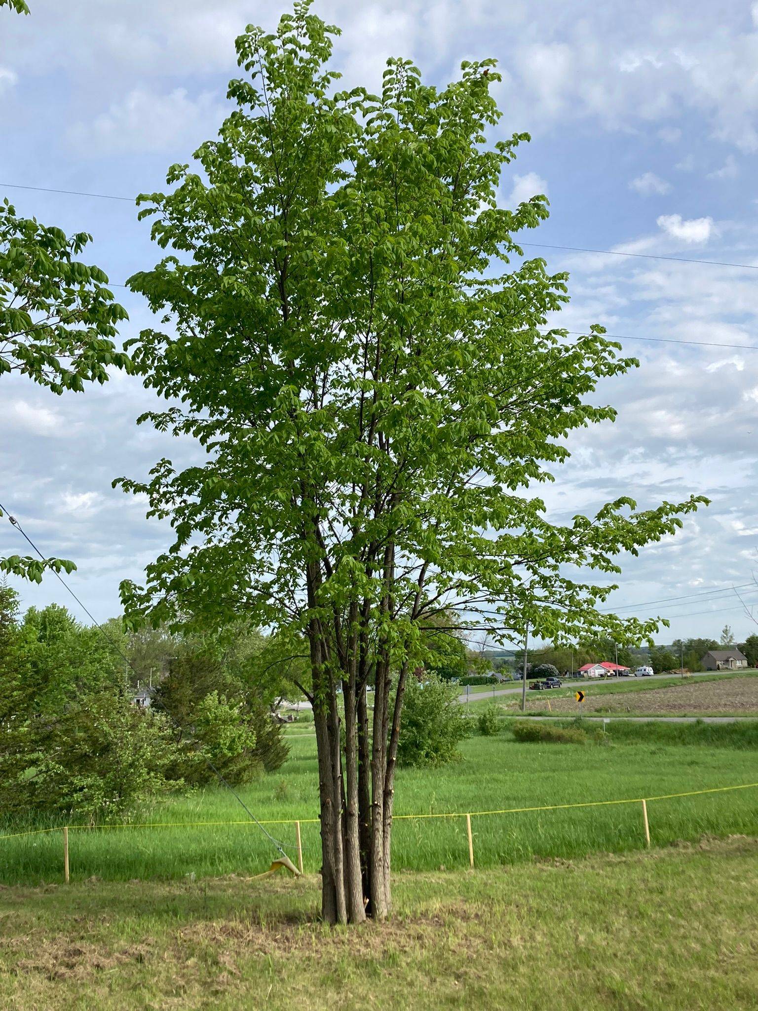 Greater Napanee, ON K7R 3K7,00 South Shore RD