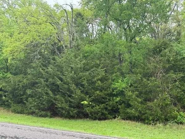 Wills Point, TX 75169,TBD PVT RD 7395