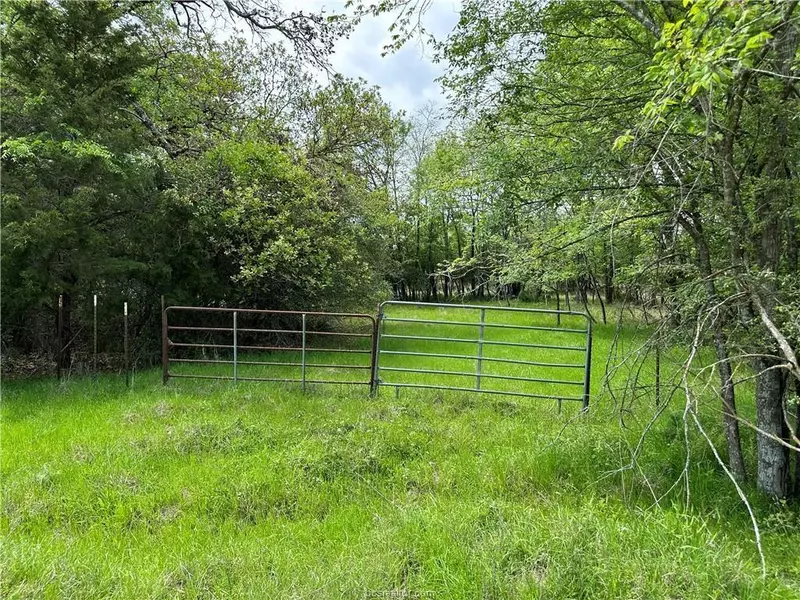 00 Hickory Loop Road, Thornton, TX 76687