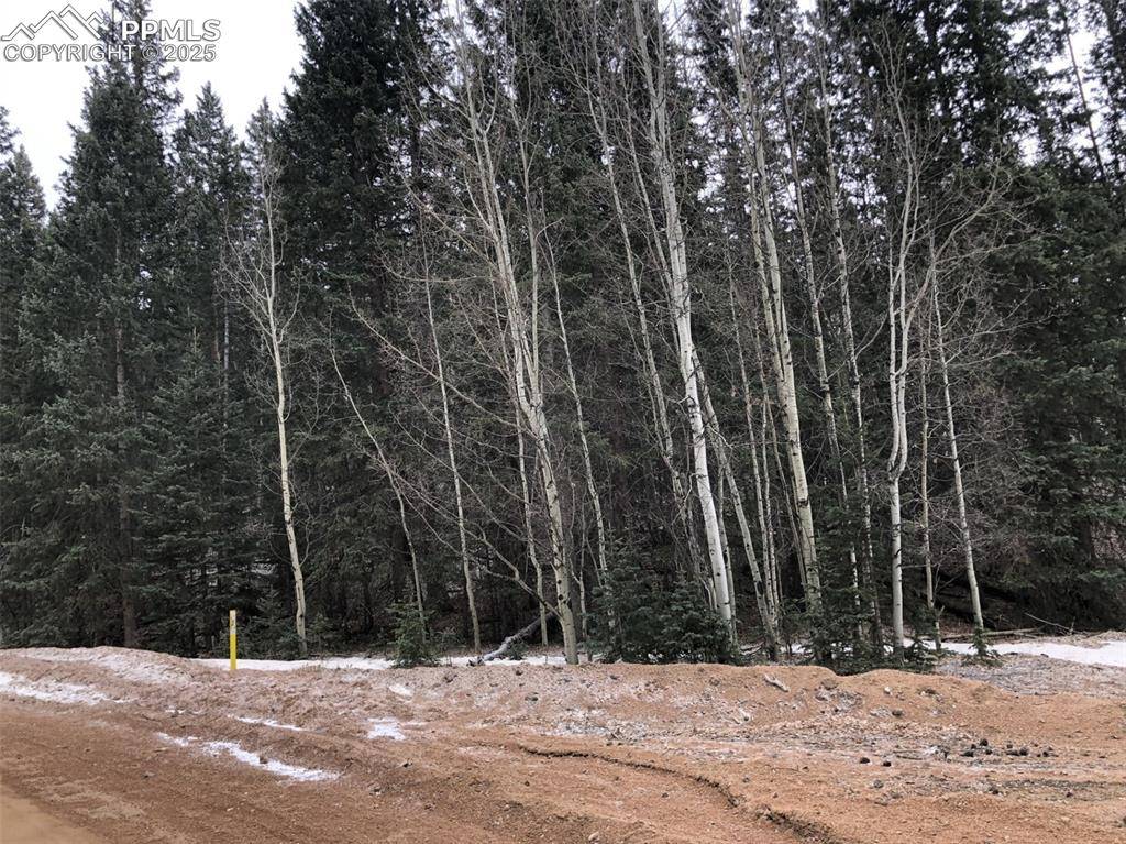 Cripple Creek, CO 80813,864 Wellington DR