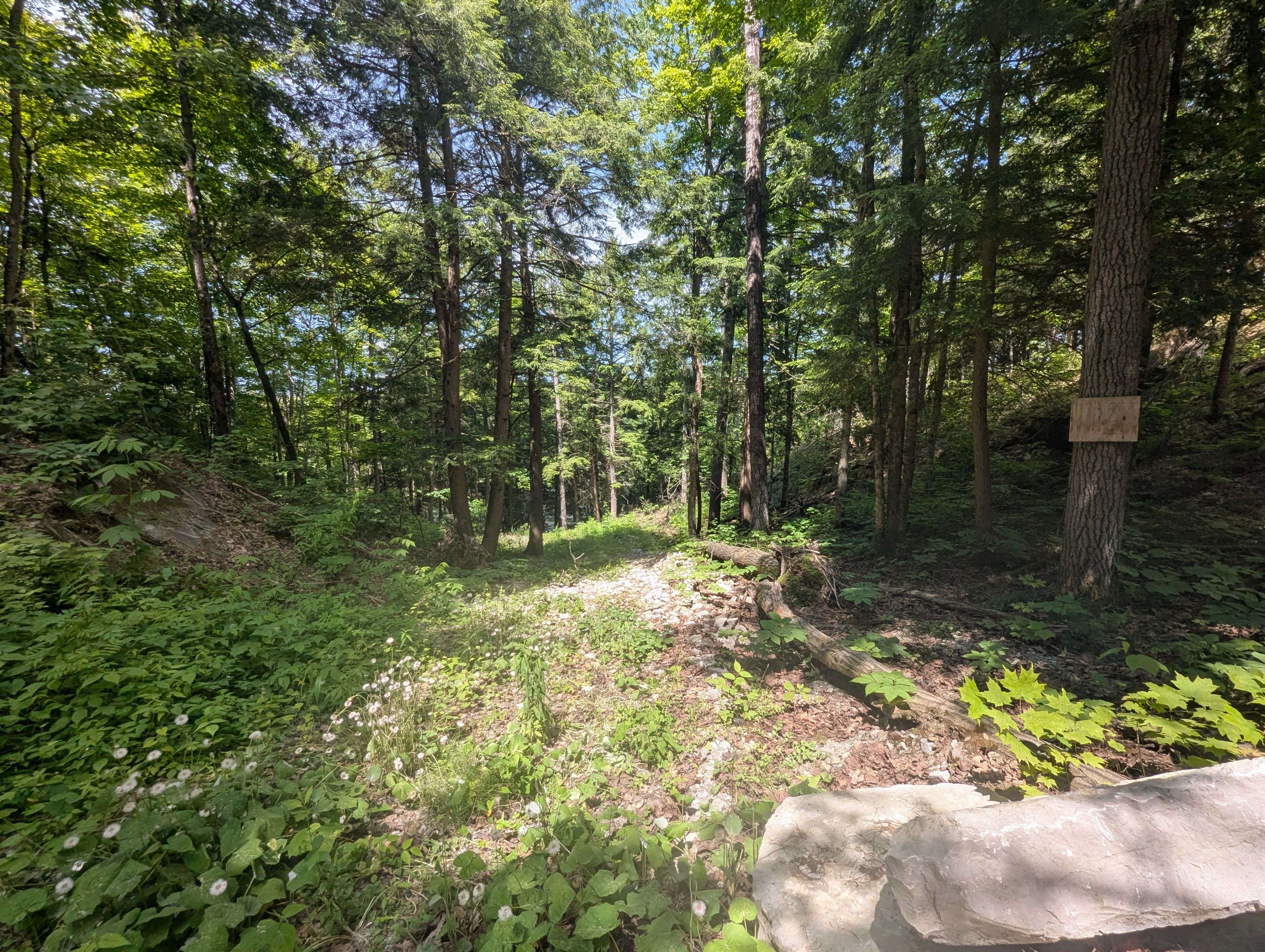 Severn, ON L0K 1E0,2318 Sherwood Forest LN