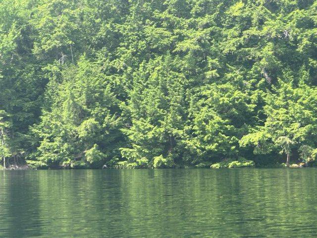 Kearney, ON P0A 1M0,N/A Island Lake RD