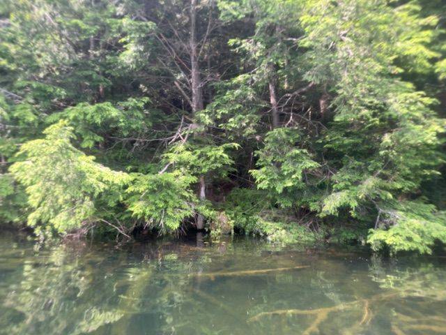 Kearney, ON P0A 1M0,N/A Island Lake RD