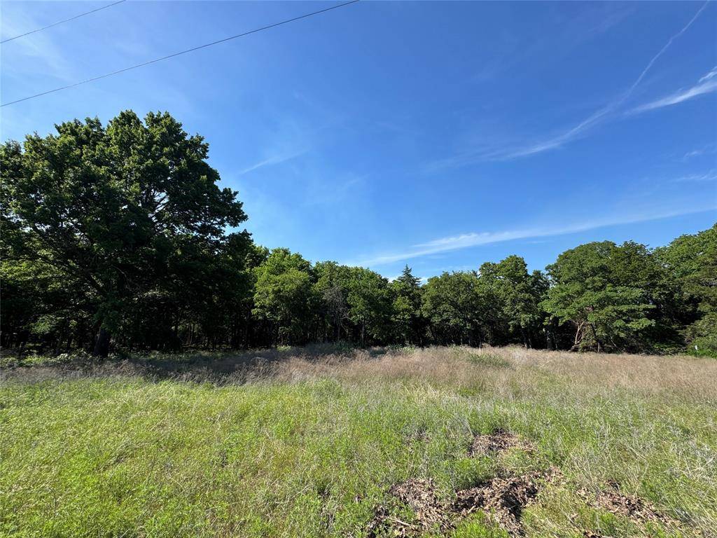 Decatur, TX 76234,144 Cedar Oak Drive