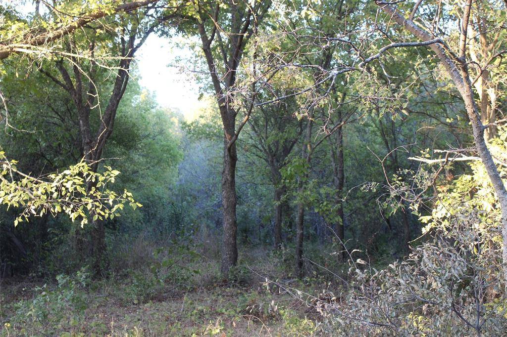 Nocona, TX 76255,000 Eureka School Road