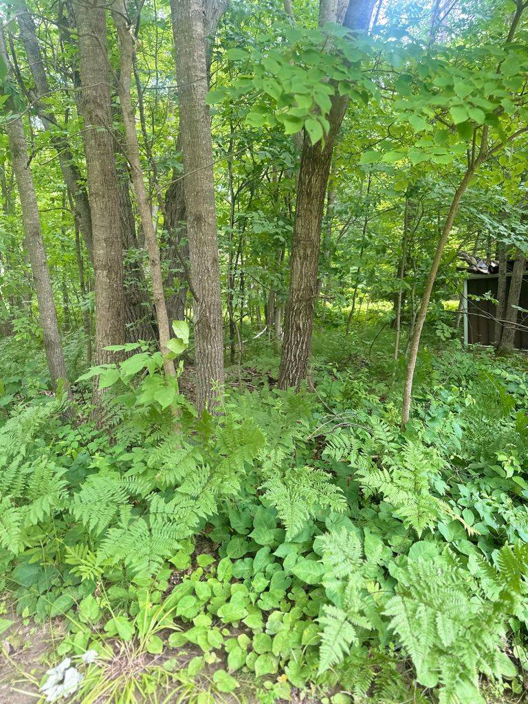 Gravenhurst, ON P1P 1R1,1170 North Shore DR