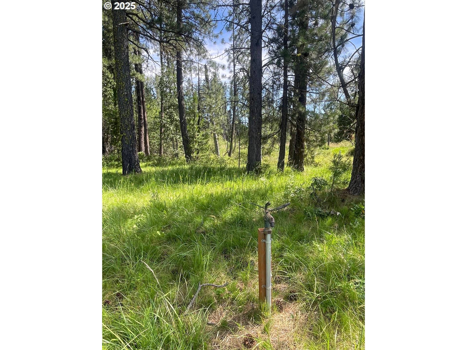 Glenwood, WA 98619,30 E ADAMS VIEW DR