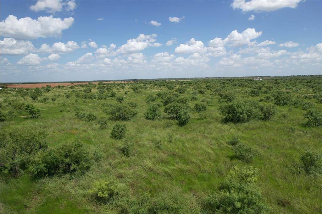Hawley, TX 79525,Tract 14 TBD Cr 495