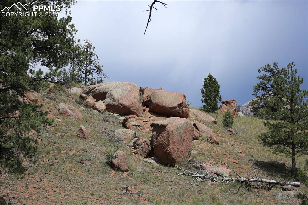 Florissant, CO 80816,247 Deerfield CIR