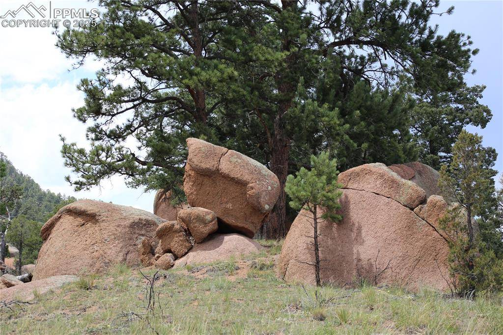 Florissant, CO 80816,247 Deerfield CIR