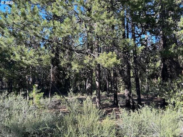 Crescent Lake, OR 97733,Pine Creek LOOP