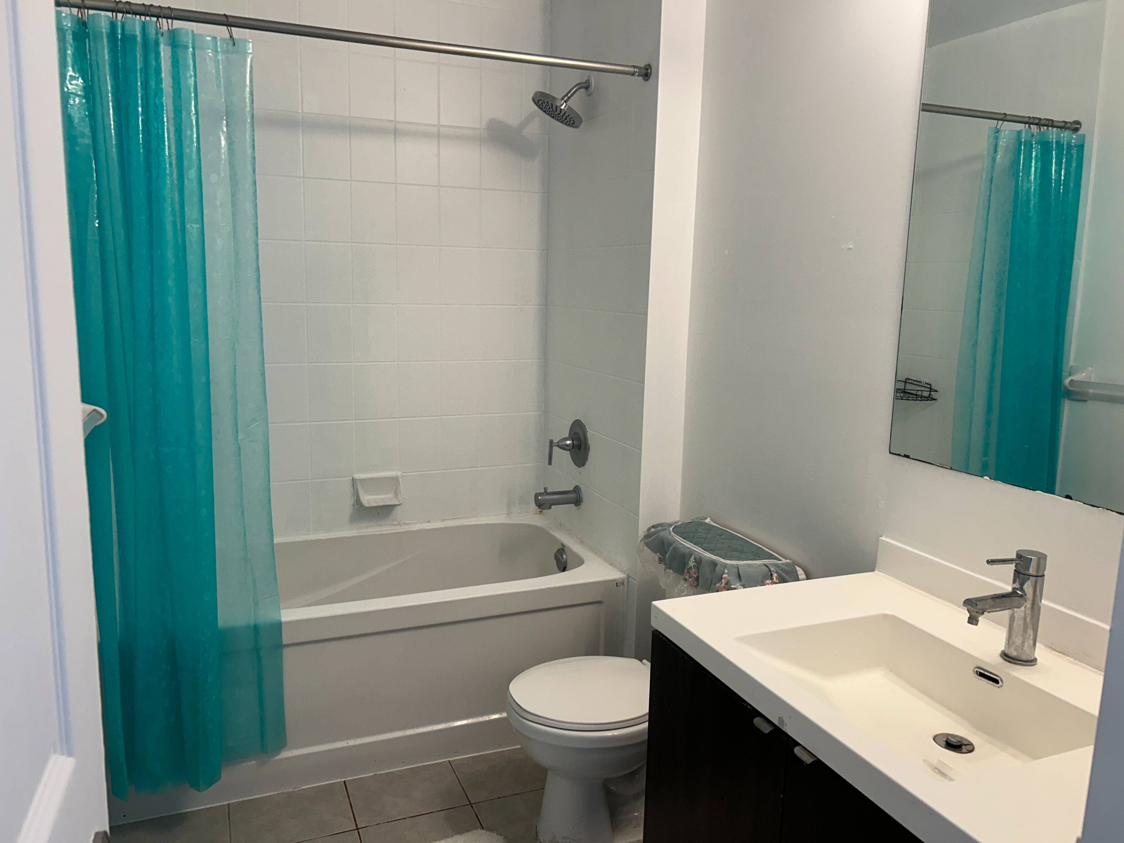 Toronto C01, ON M5V 0K3,352 Front ST W #1217