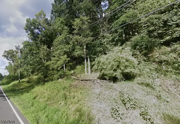 0 Rieglesville-Milford Rd, Holland Twp., NJ 08848