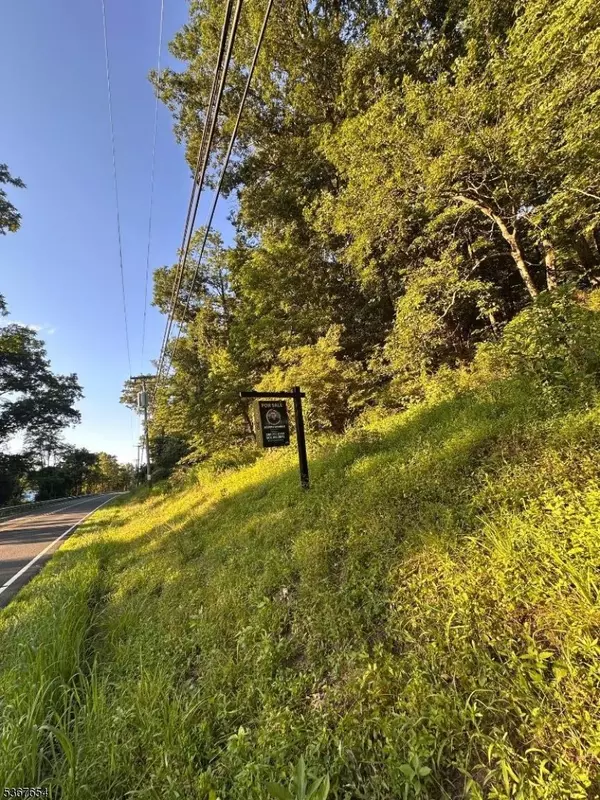 Holland Twp., NJ 08848,0 Rieglesville-Milford Rd