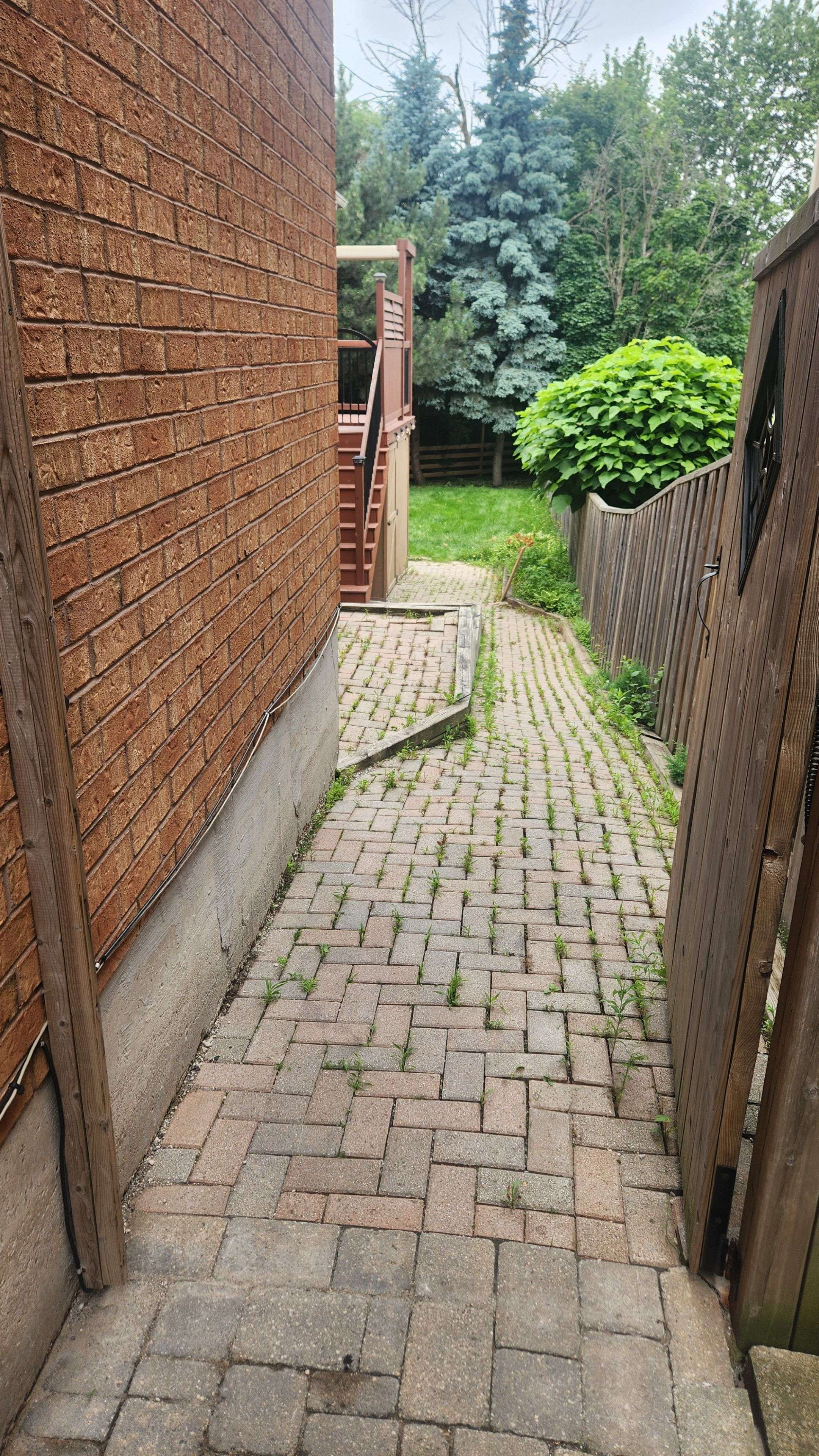 Brampton, ON L6W 4G6,26 Warrington CT #Basement
