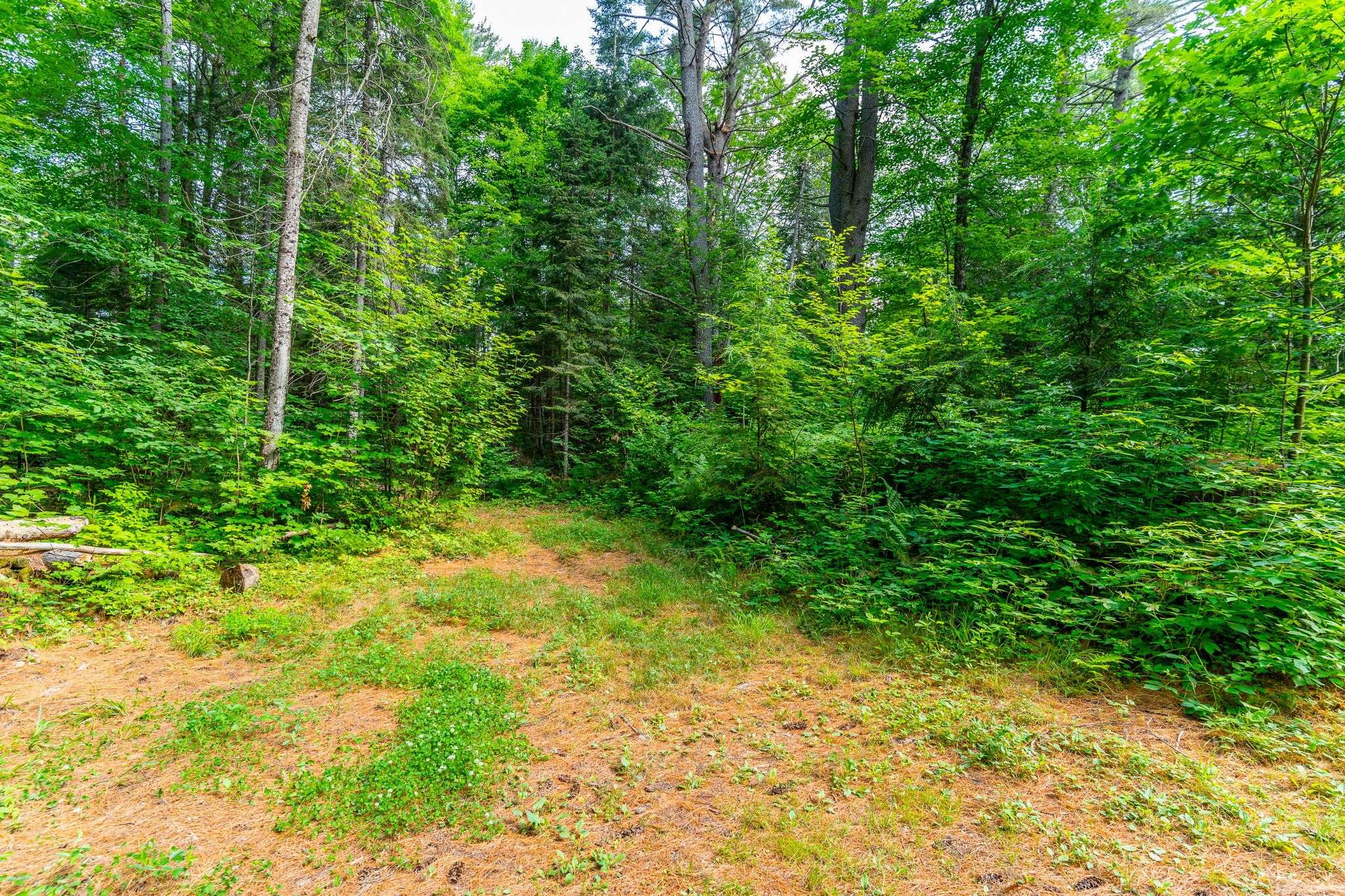 Lake Of Bays, ON P0B 1A0,1083 Fairy Falls RD