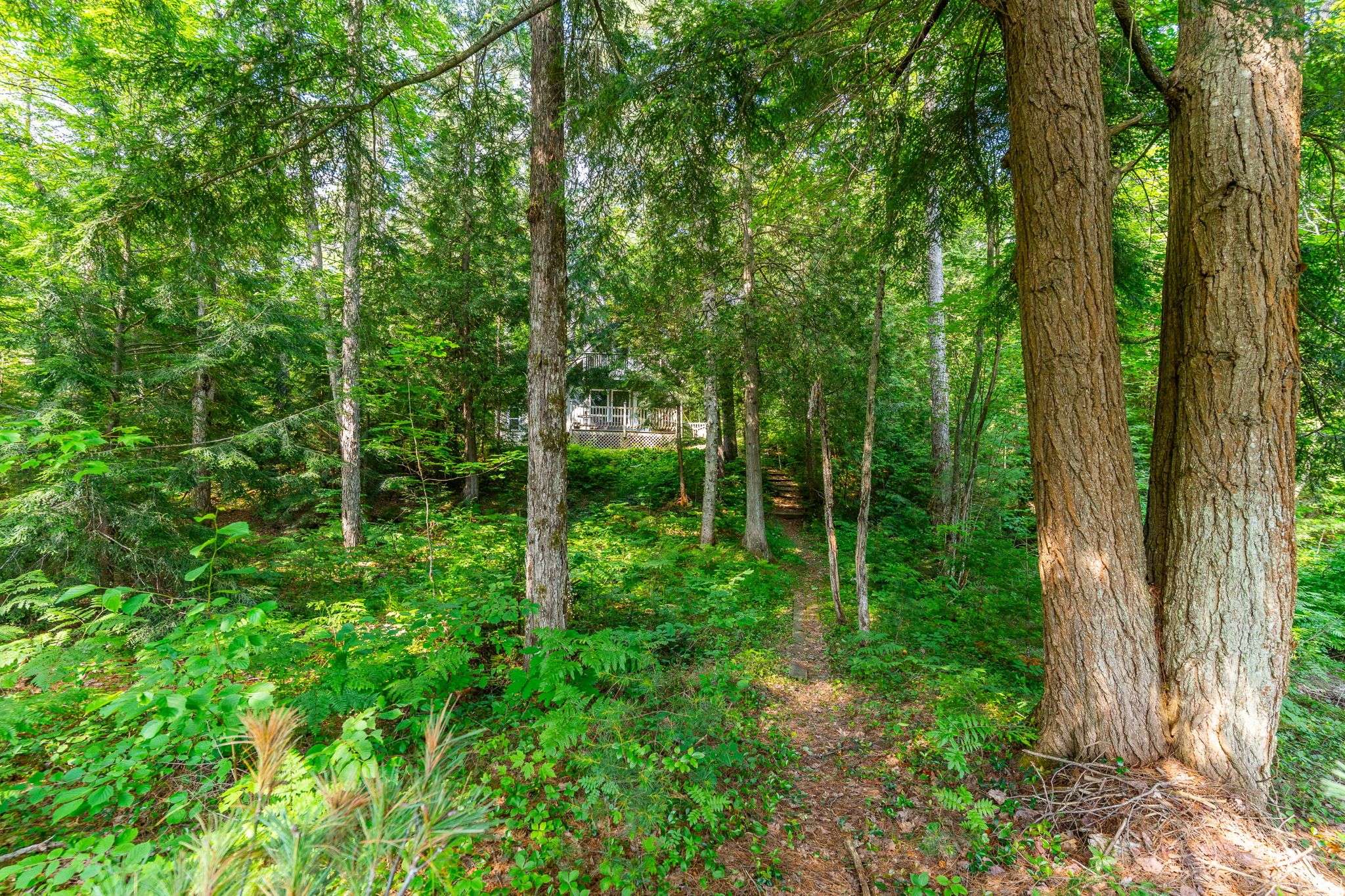 Lake Of Bays, ON P0B 1A0,1083 Fairy Falls RD