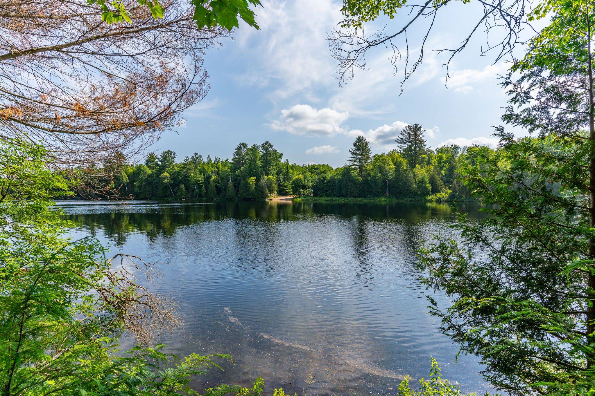 Lake Of Bays, ON P0B 1A0,1083 Fairy Falls RD