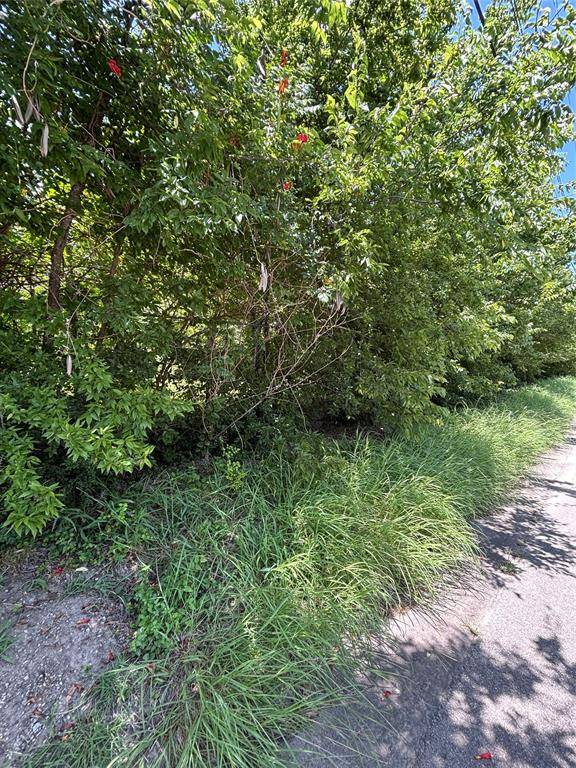 Greenville, TX 75401,1018 Clark Street