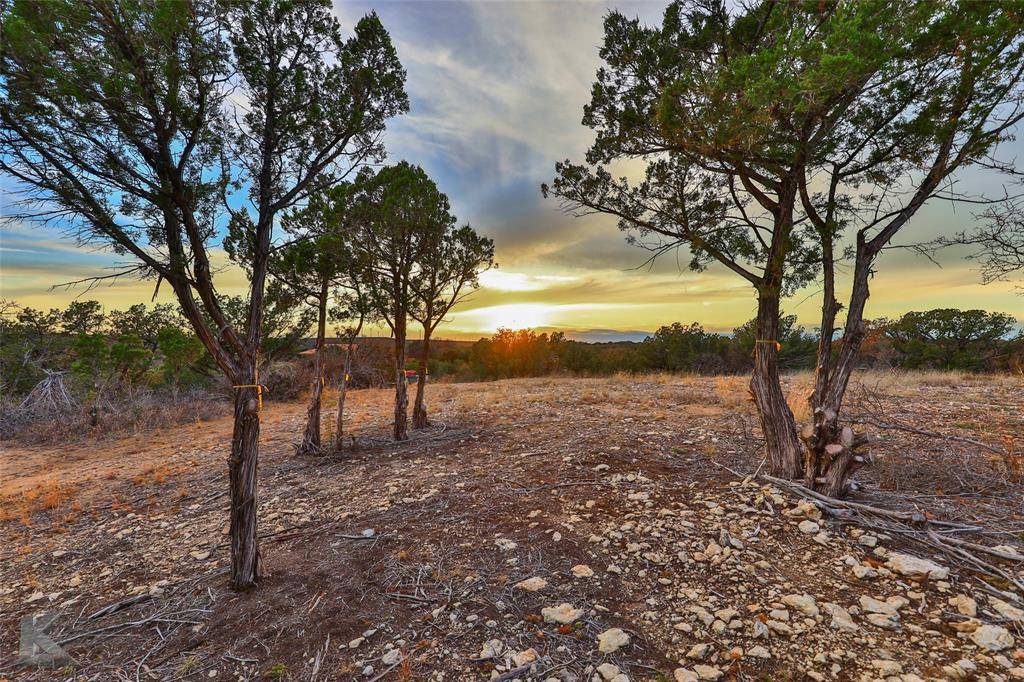 35 Acres County Road 322, Tuscola, TX 79562