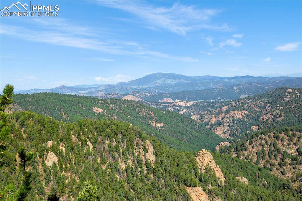 Divide, CO 80814,337 Blue Spruce RD