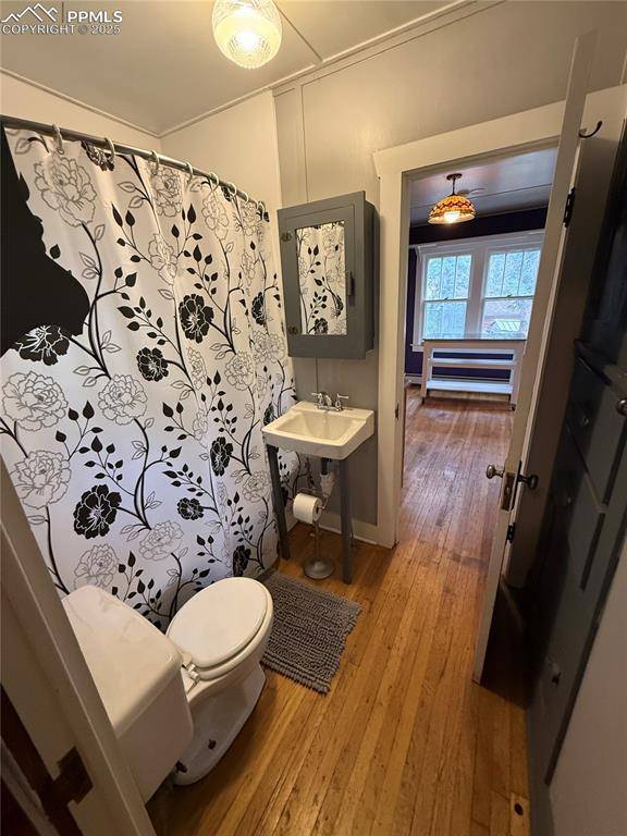 Cascade, CO 80809,9025 Picabo RD