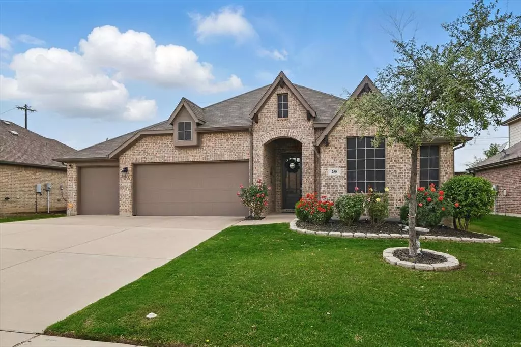 Oak Point, TX 75068,250 Wilmette Avenue