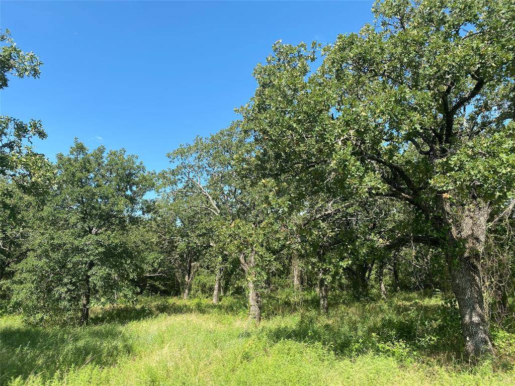 Bowie, TX 76230,270 Fm 174 E