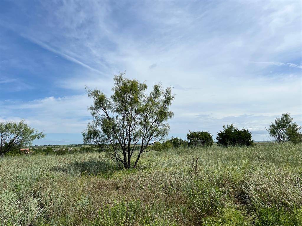 Aledo, TX 76008,2043 Hidden Bluff Drive