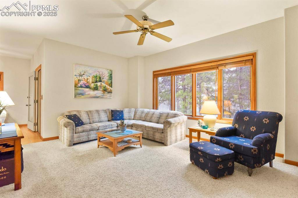 Monument, CO 80132,19085 Merry Men CIR
