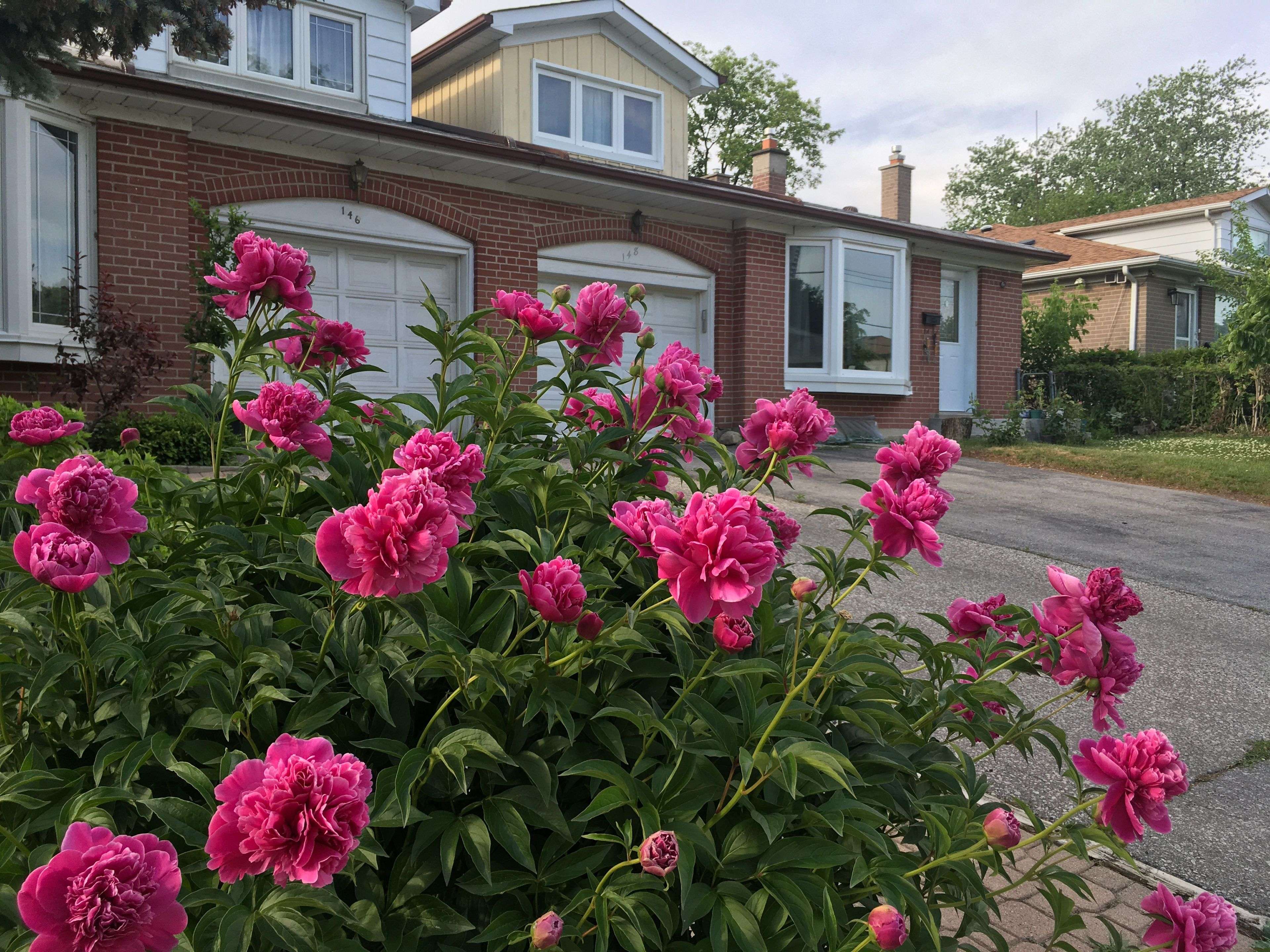 Address Not Disclosed