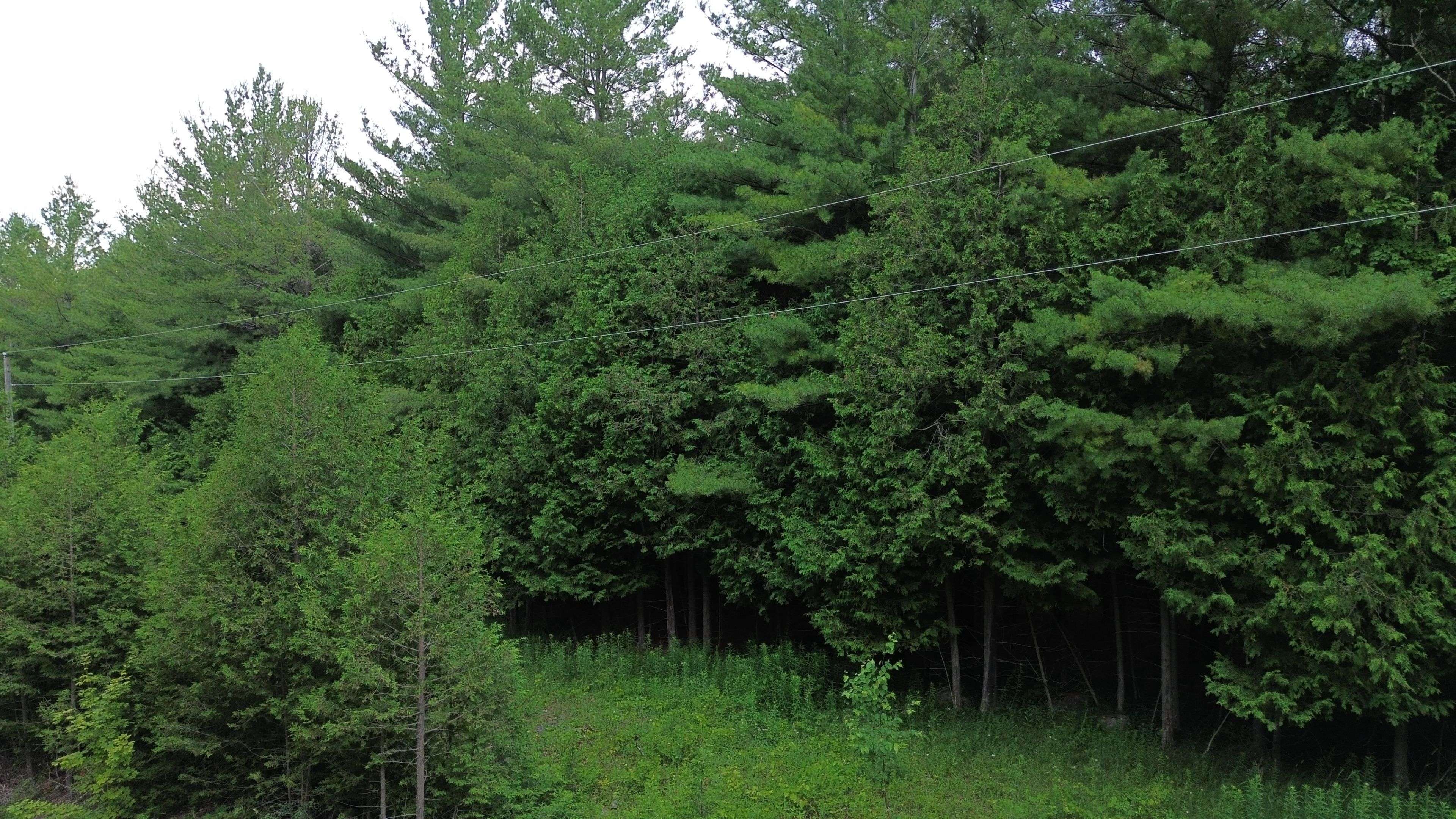 Chatsworth, ON N0H 1R0,720227 SIDEROAD 20 Side Road