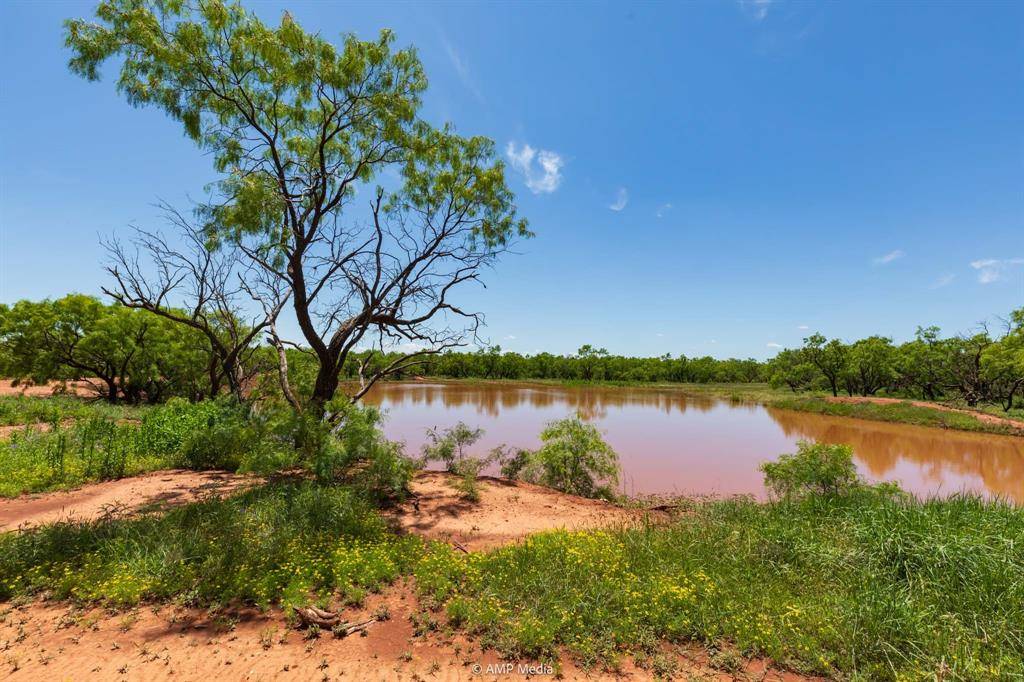 TBD FM 1085, Trent, TX 79561