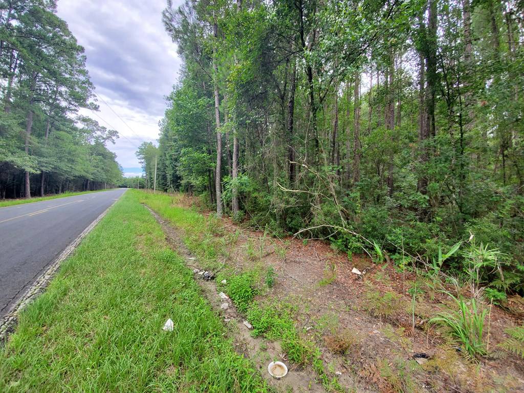 Saint George, SC 29477,0 2nd Texas Road