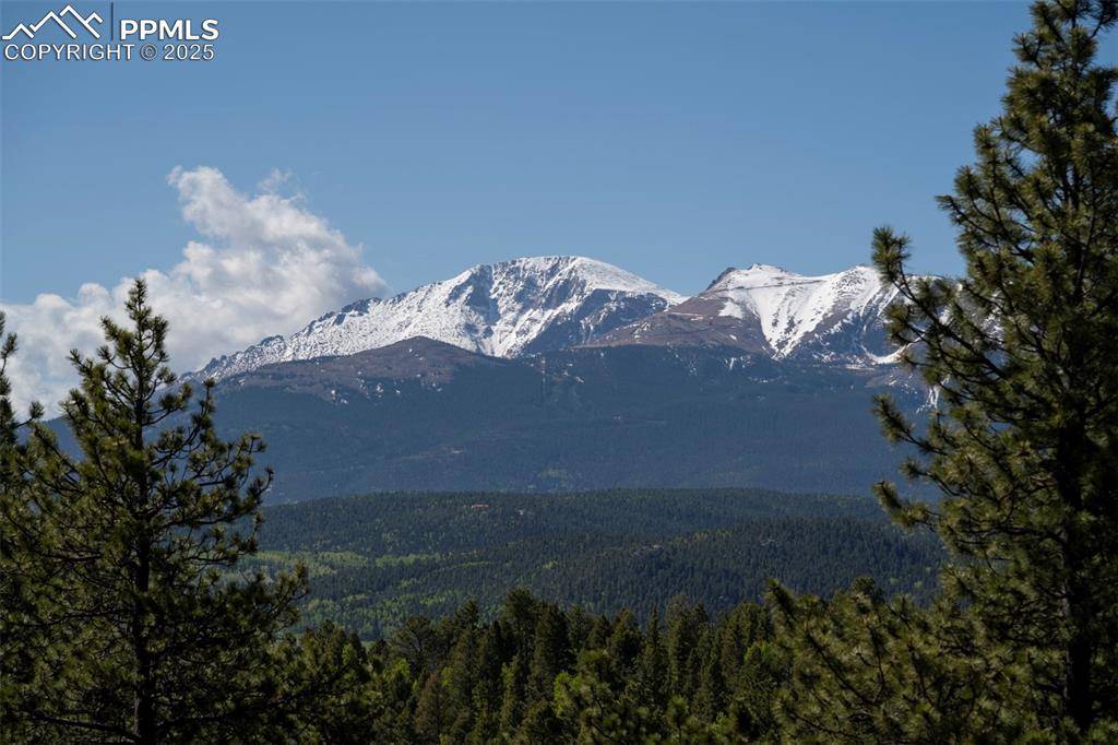 Woodland Park, CO 80863,310 Blossom RD