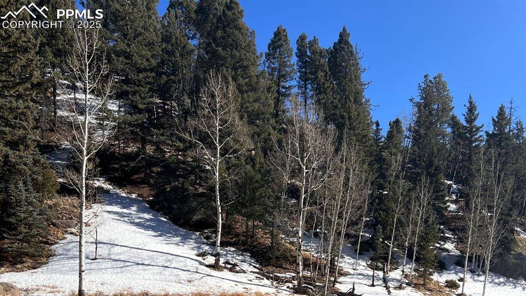 Florissant, CO 80816,506 Arrowhead RD