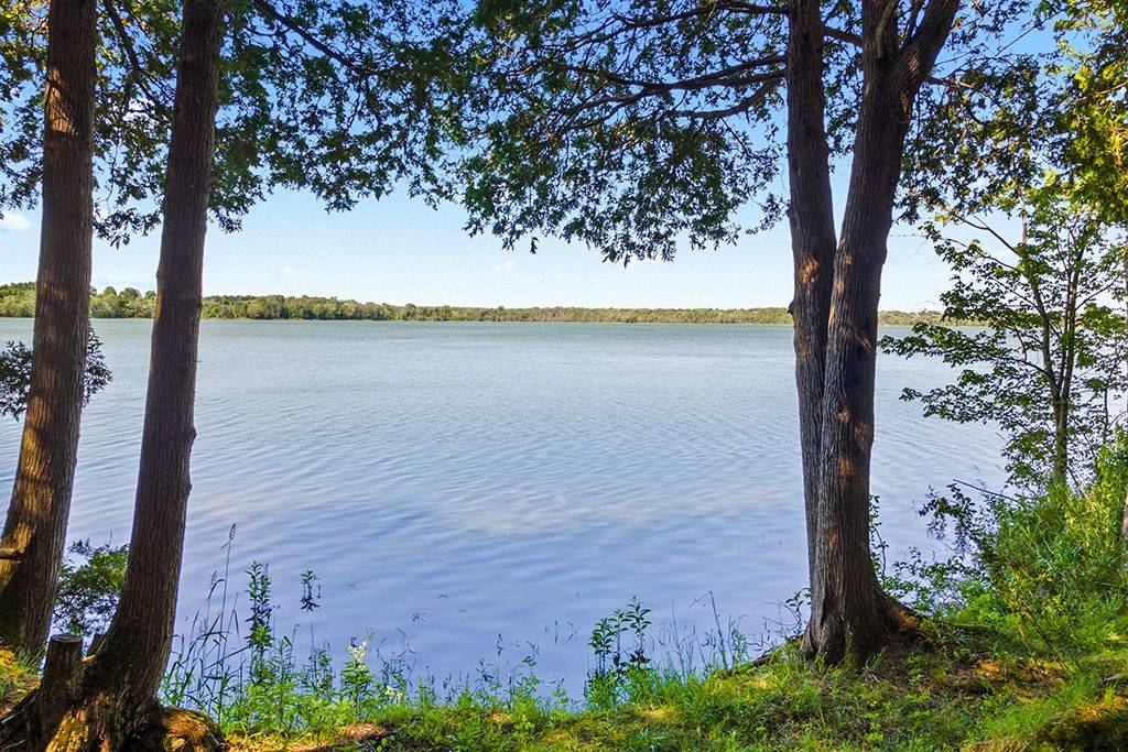 382185 Concession 17 RD, Georgian Bluffs, ON N0H 2T0